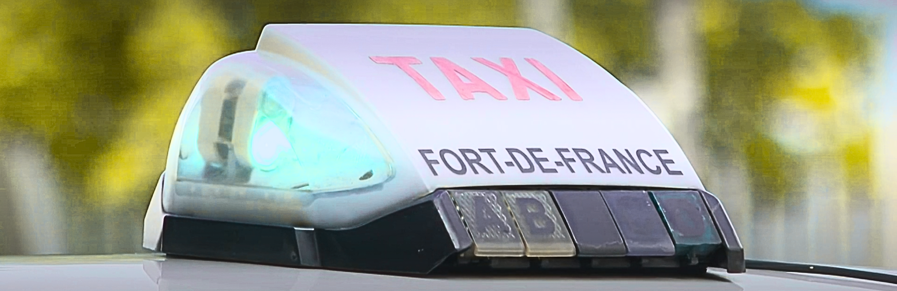 Visitez avec l'île de la Martinique avec Martinique Taxis - Taxi fort-de-france - Taxi Martinique