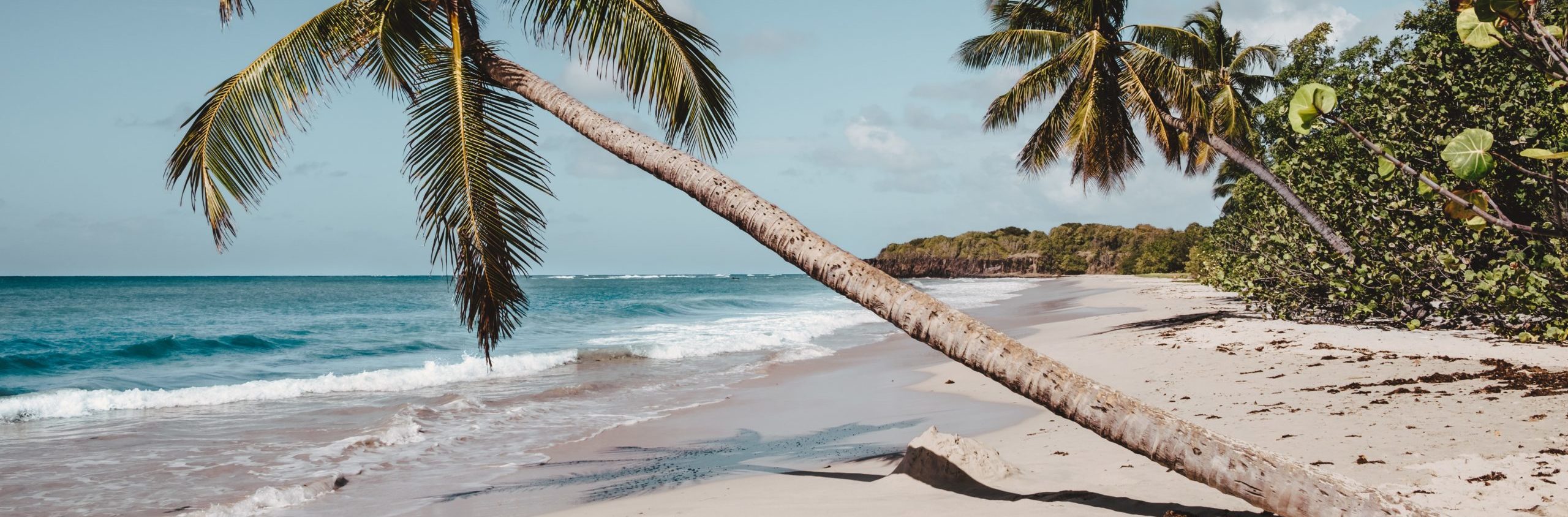 Visitez avec l'île de la Martinique avec Martinique Taxis - Plage de la Martinique