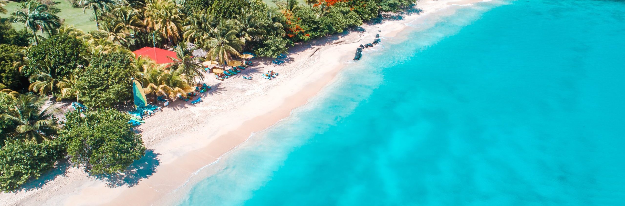 La Martinique - Avec Martinique Taxis