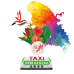 Logo de Martinique taxis V3
